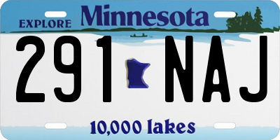 MN license plate 291NAJ