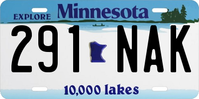 MN license plate 291NAK
