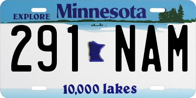 MN license plate 291NAM
