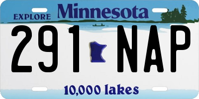 MN license plate 291NAP