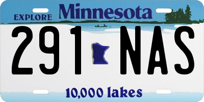MN license plate 291NAS