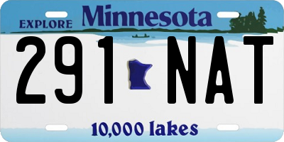 MN license plate 291NAT