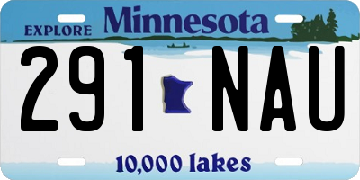 MN license plate 291NAU