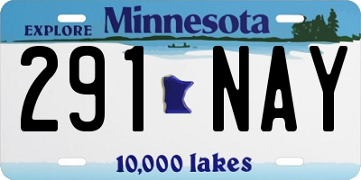 MN license plate 291NAY