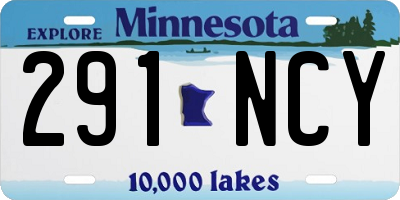 MN license plate 291NCY