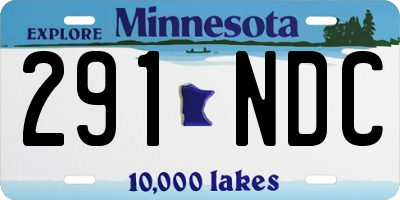 MN license plate 291NDC