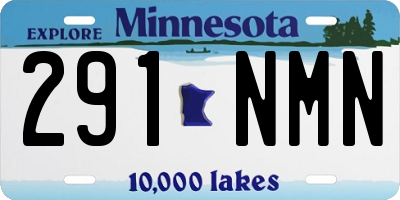 MN license plate 291NMN