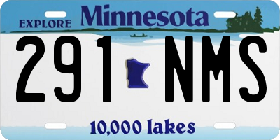MN license plate 291NMS