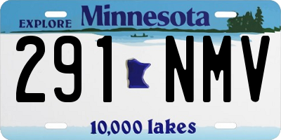 MN license plate 291NMV