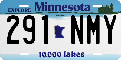 MN license plate 291NMY