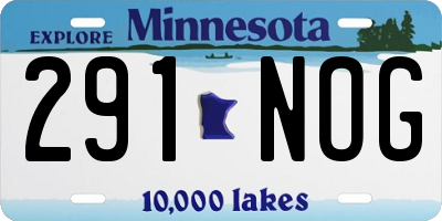 MN license plate 291NOG