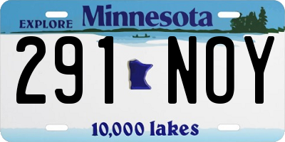 MN license plate 291NOY