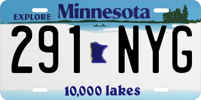 MN license plate 291NYG
