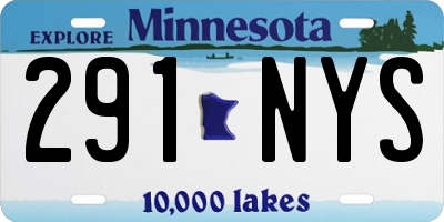 MN license plate 291NYS