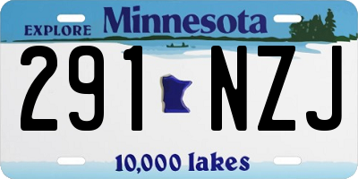 MN license plate 291NZJ