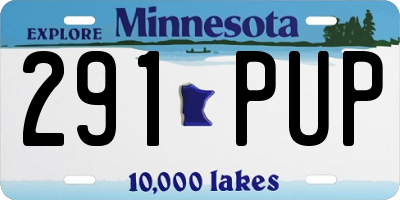 MN license plate 291PUP