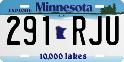 MN license plate 291RJU