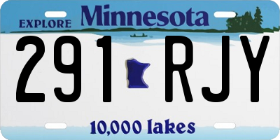 MN license plate 291RJY