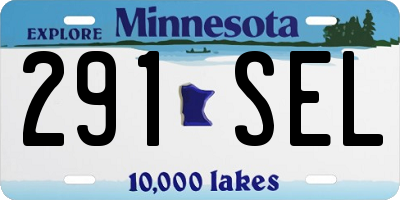 MN license plate 291SEL