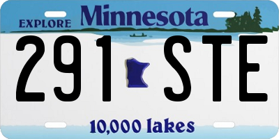 MN license plate 291STE