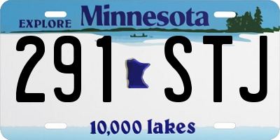 MN license plate 291STJ