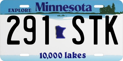 MN license plate 291STK