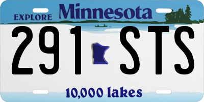 MN license plate 291STS