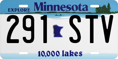 MN license plate 291STV
