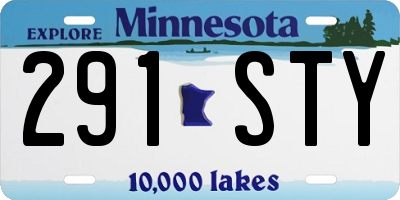 MN license plate 291STY