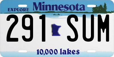 MN license plate 291SUM