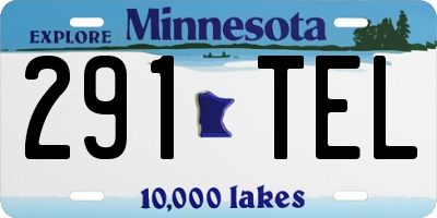 MN license plate 291TEL