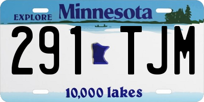 MN license plate 291TJM