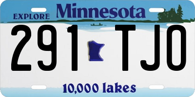 MN license plate 291TJO