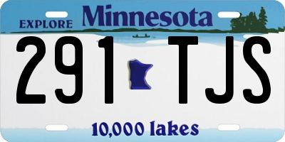 MN license plate 291TJS