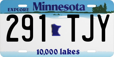 MN license plate 291TJY