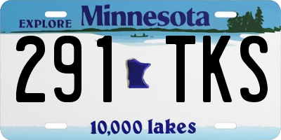 MN license plate 291TKS