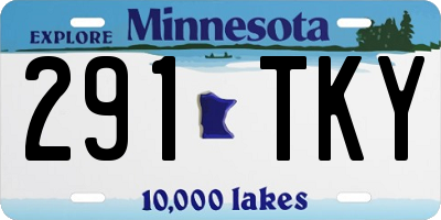 MN license plate 291TKY
