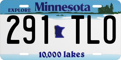 MN license plate 291TLO