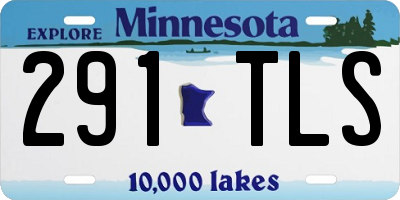 MN license plate 291TLS