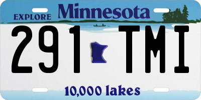 MN license plate 291TMI