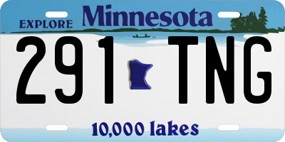 MN license plate 291TNG