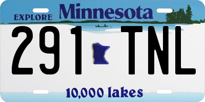 MN license plate 291TNL