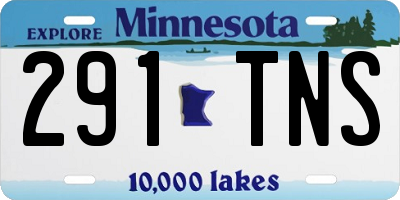 MN license plate 291TNS