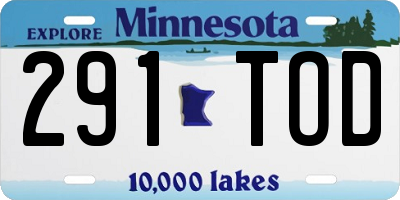 MN license plate 291TOD