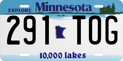 MN license plate 291TOG