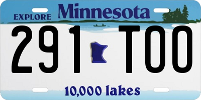 MN license plate 291TOO