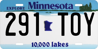 MN license plate 291TOY