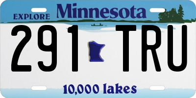 MN license plate 291TRU