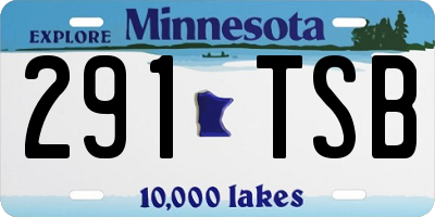 MN license plate 291TSB