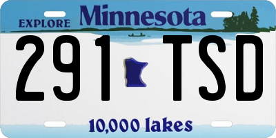 MN license plate 291TSD